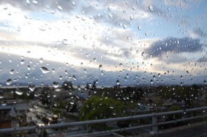 rainyday
